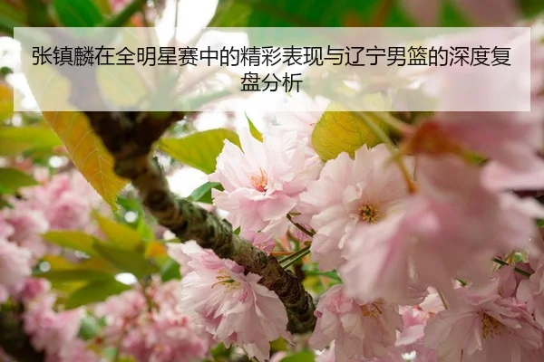 张镇麟在全明星赛中的精彩表现与辽宁男篮的深度复盘分析